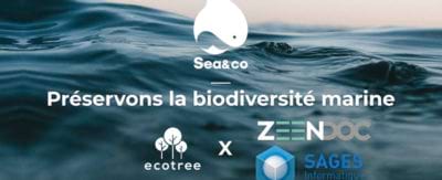 Sages Informatique s’engage pour la biodiversité marine en Corse